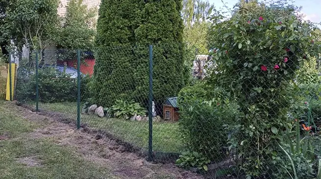 Заборы из сетки рабицы